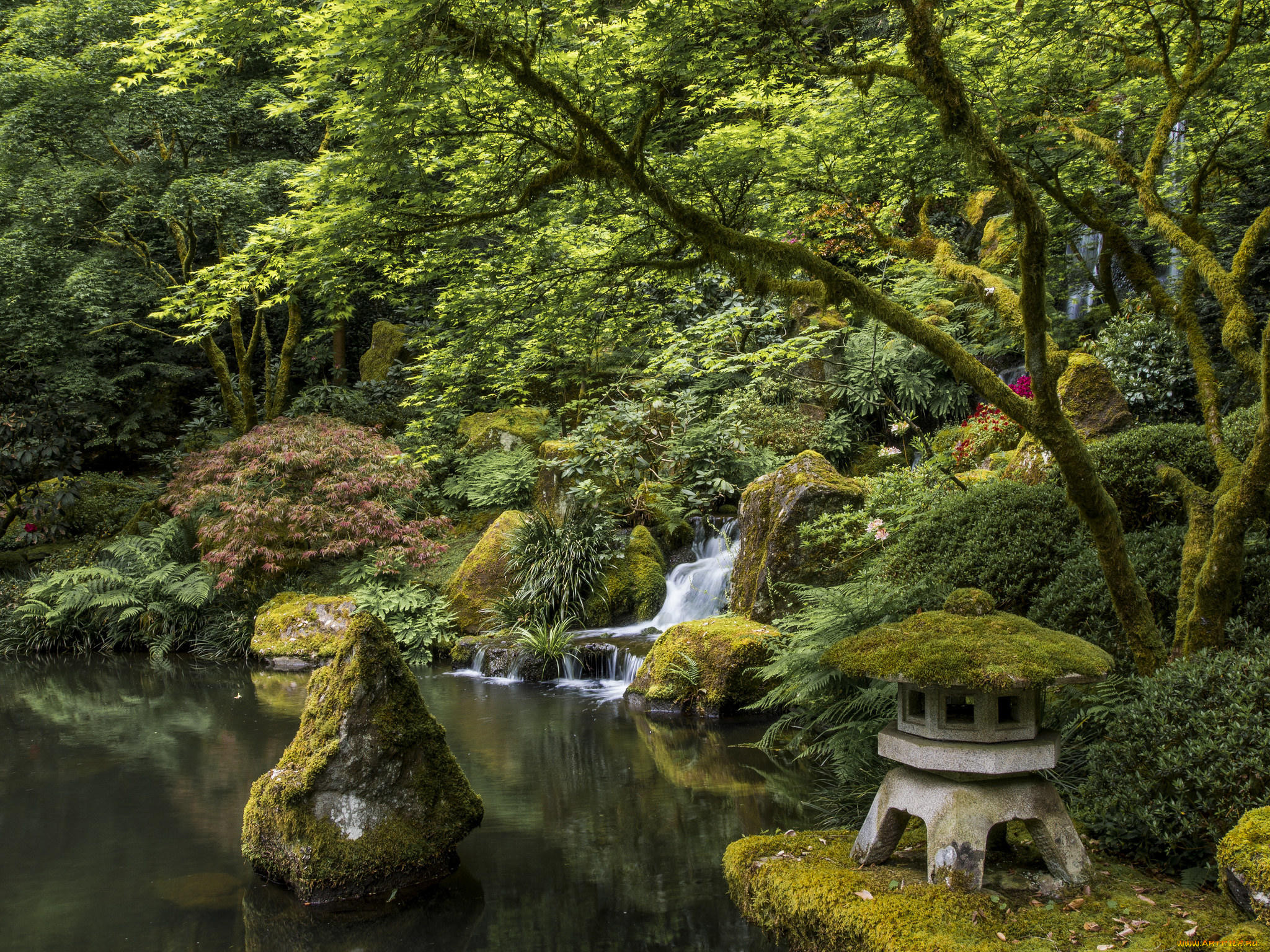 , , , , , portland, japanese, garden, , 